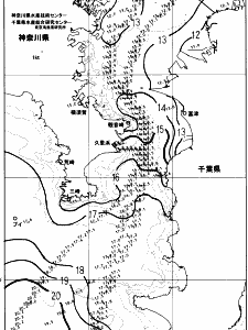 東京湾口海況図(2023/12/30)