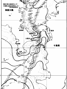 東京湾口海況図(2023/12/31)