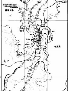 東京湾口海況図(2024/01/03)