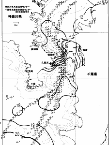 東京湾口海況図(2024/01/04)