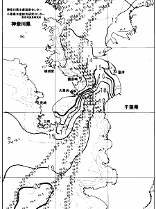 東京湾口海況図(2024/01/06)