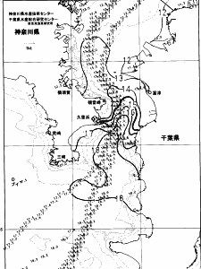 東京湾口海況図(2024/01/08)