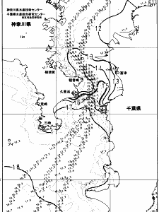 東京湾口海況図(2024/01/09)