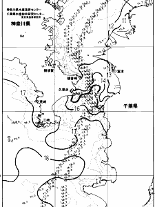 東京湾口海況図(2024/01/10)
