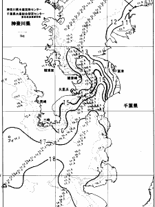 東京湾口海況図(2024/01/11)