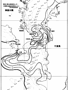 東京湾口海況図(2024/01/12)