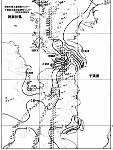東京湾口海況図(2024/01/13)