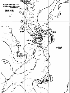 東京湾口海況図(2024/01/14)