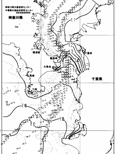 東京湾口海況図(2024/01/17)