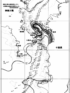 東京湾口海況図(2024/01/19)