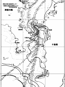 東京湾口海況図(2024/01/20)