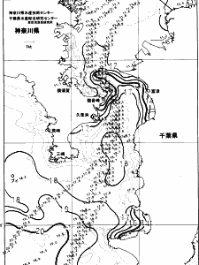 東京湾口海況図(2024/01/21)