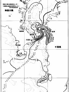 東京湾口海況図(2024/01/25)