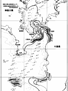 東京湾口海況図(2024/01/26)