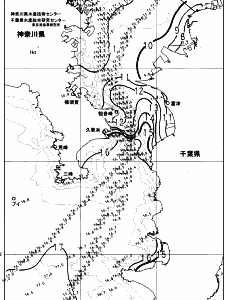 東京湾口海況図(2024/01/28)