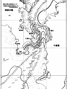 東京湾口海況図(2024/01/29)