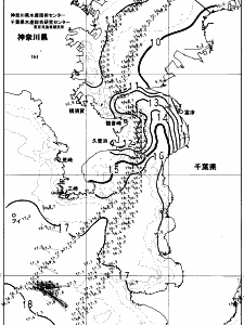 東京湾口海況図(2024/01/30)