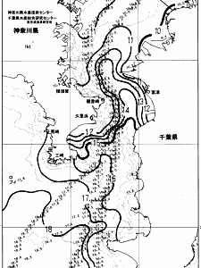 東京湾口海況図(2024/01/31)