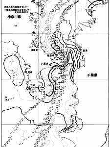 東京湾口海況図(2024/02/02)