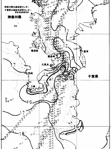 東京湾口海況図(2024/02/03)