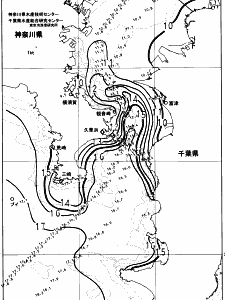 東京湾口海況図(2024/02/06)