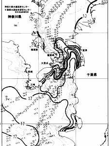 東京湾口海況図(2024/02/08)