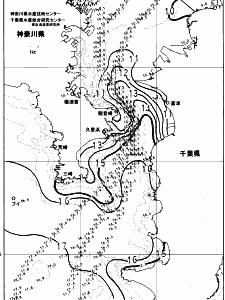 東京湾口海況図(2024/02/10)