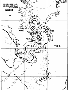 東京湾口海況図(2024/02/11)