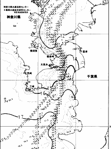 東京湾口海況図(2024/02/19)
