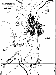 東京湾口海況図(2024/02/28)
