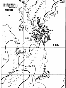 東京湾口海況図(2024/02/29)
