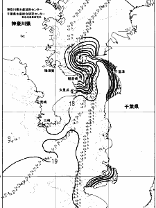 東京湾口海況図(2024/03/01)