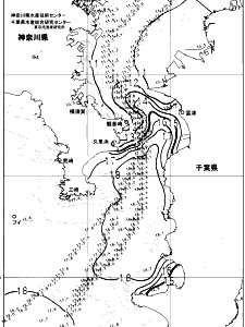 東京湾口海況図(2024/03/03)
