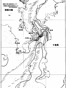 東京湾口海況図(2024/03/04)