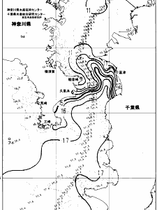 東京湾口海況図(2024/03/06)
