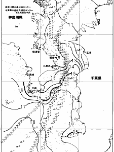 東京湾口海況図(2024/03/09)