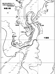 東京湾口海況図(2024/03/14)