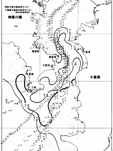 東京湾口海況図(2024/03/15)