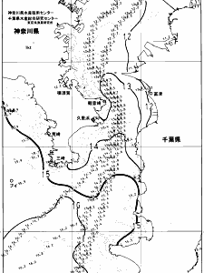 東京湾口海況図(2024/03/19)