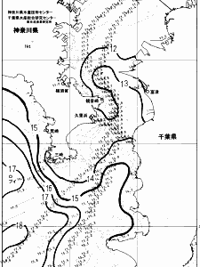 東京湾口海況図(2024/03/26)
