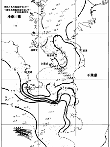 東京湾口海況図(2024/03/28)