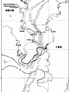 東京湾口海況図(2024/04/07)