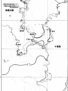 東京湾口海況図(2024/04/10)