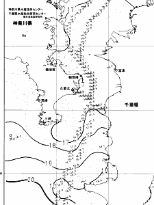 東京湾口海況図(2024/04/21)