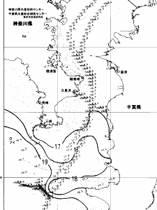 東京湾口海況図(2024/04/24)