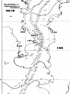 東京湾口海況図(2024/05/10)