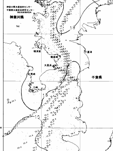 東京湾口海況図(2024/05/12)