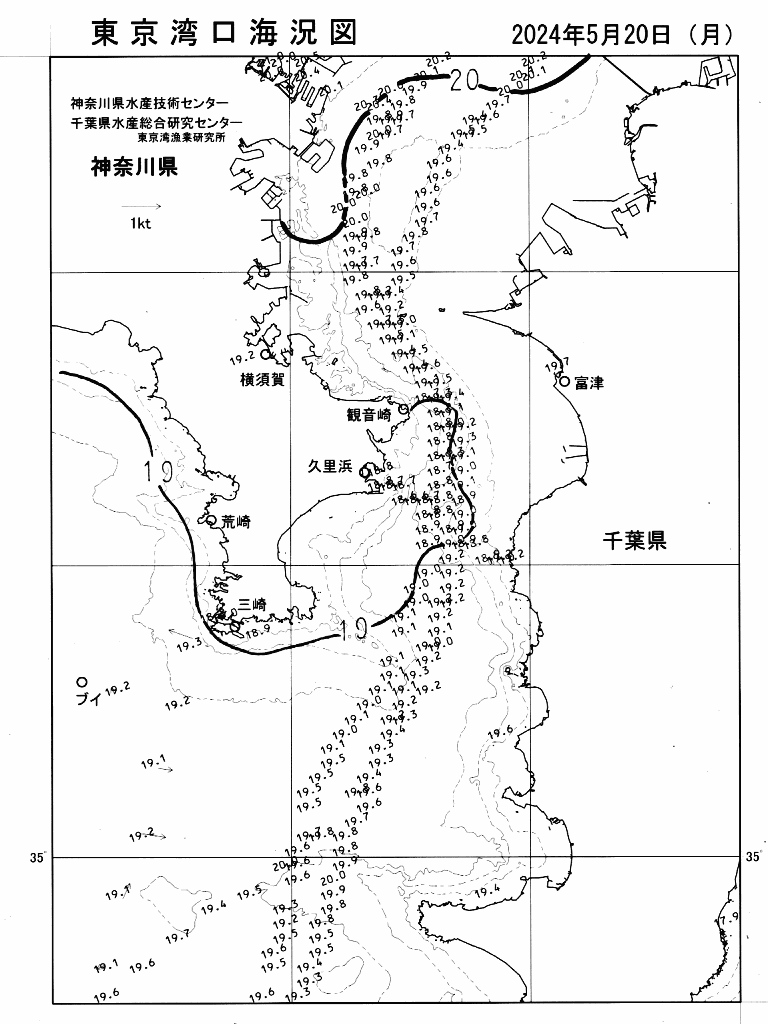 海況図, 東京湾口海況図 検索結果, (水温分布 等を図示)