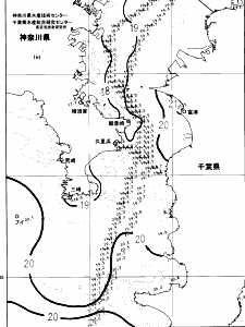 東京湾口海況図(2024/05/29)