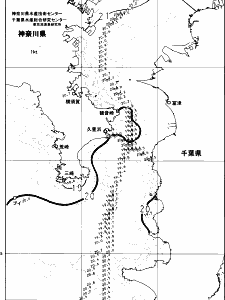 東京湾口海況図(2024/06/01)